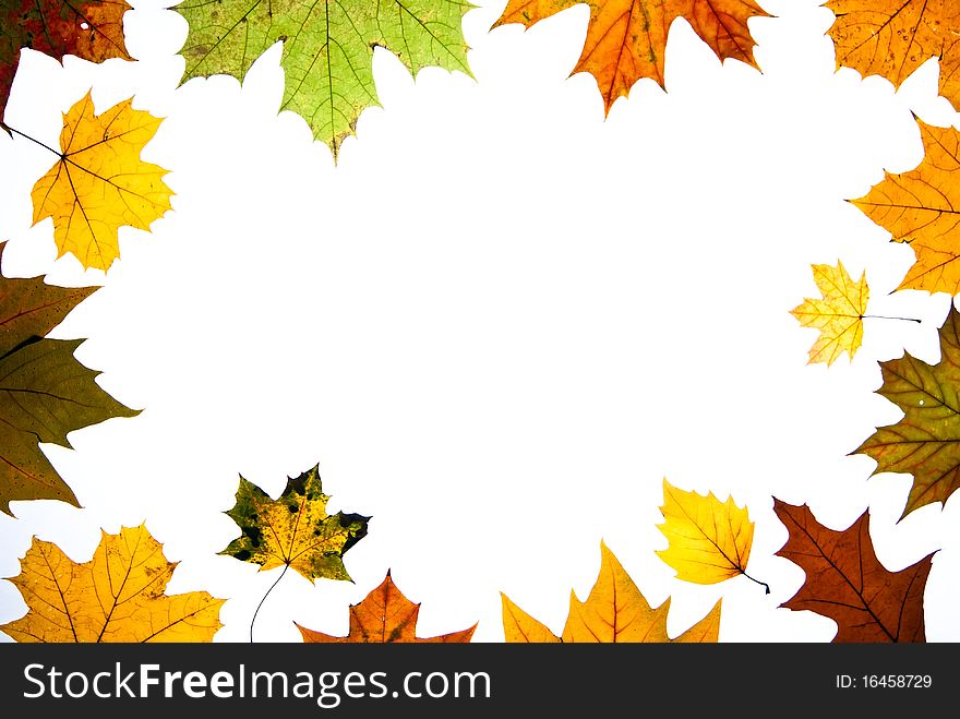 Autumn leaves with copy space centered. Autumn leaves with copy space centered