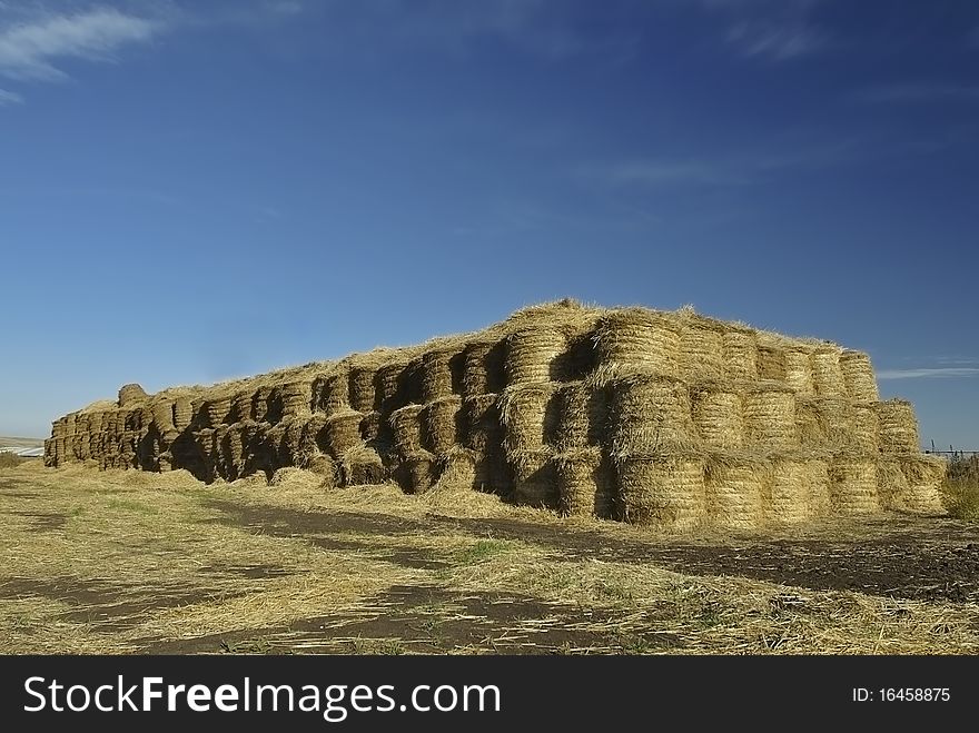 Stack of straw against the dark blue sky