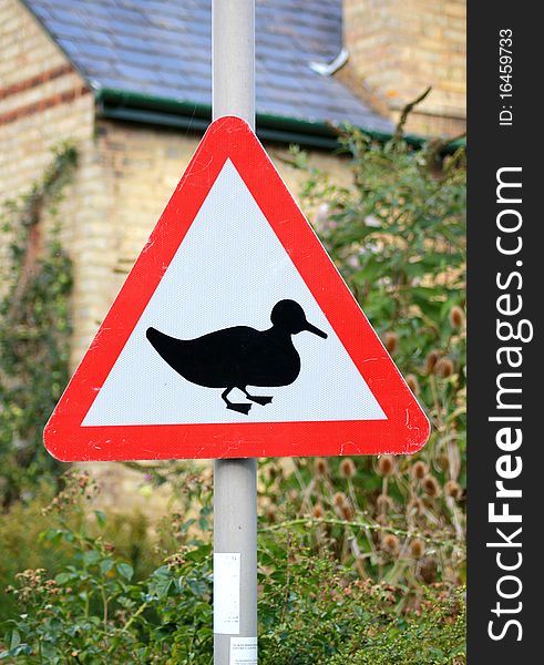 A signpost warning of ducks crossing