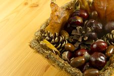 Fruits Of Fall Stock Image
