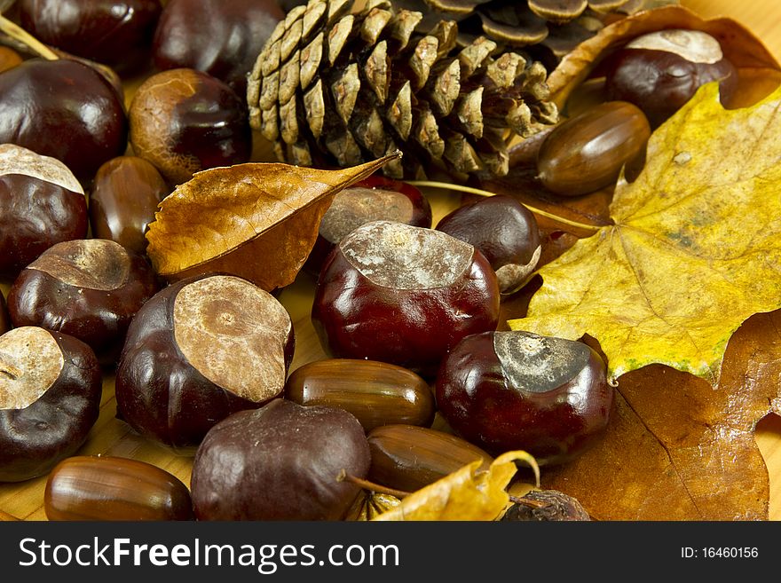 An autumn background created of leaves, cones, chestnuts and acorns. An autumn background created of leaves, cones, chestnuts and acorns