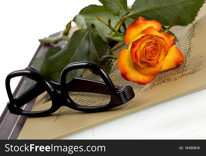 Orange rose on old book. Orange rose on old book