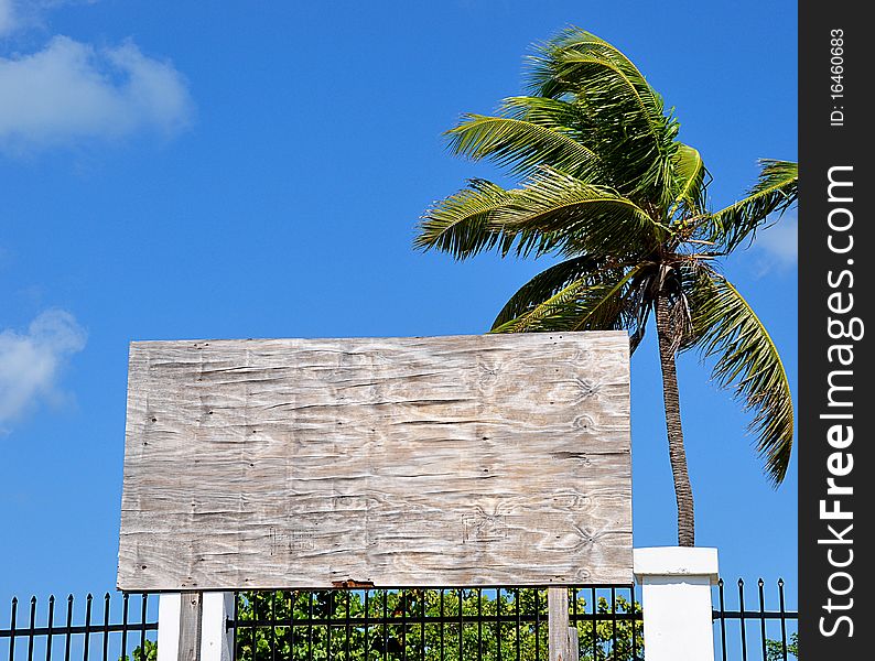 A blank plywood sign in tropical location with room for text