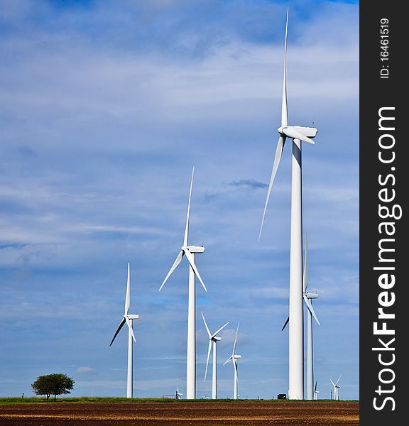 Sky full of windmills and a lone tree on a prairie. Sky full of windmills and a lone tree on a prairie