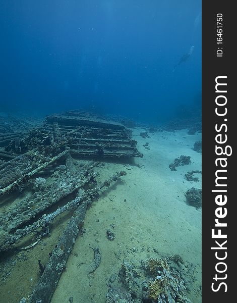 Cargo of the Yolanda wreck taken in the Red Sea.