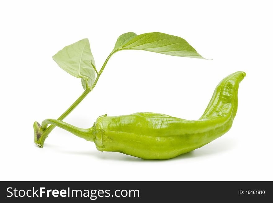 Ecological peppers isolated on white background. Ecological peppers isolated on white background