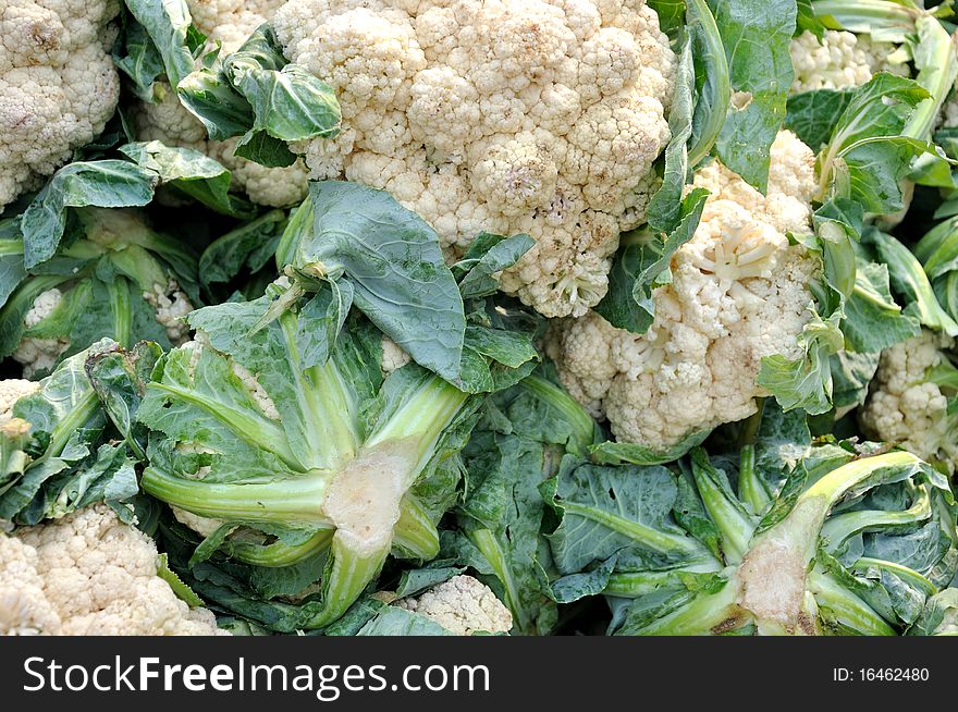 Raw cauliflower stacking for selling in super market, shown as original vegetable which is not disposed.