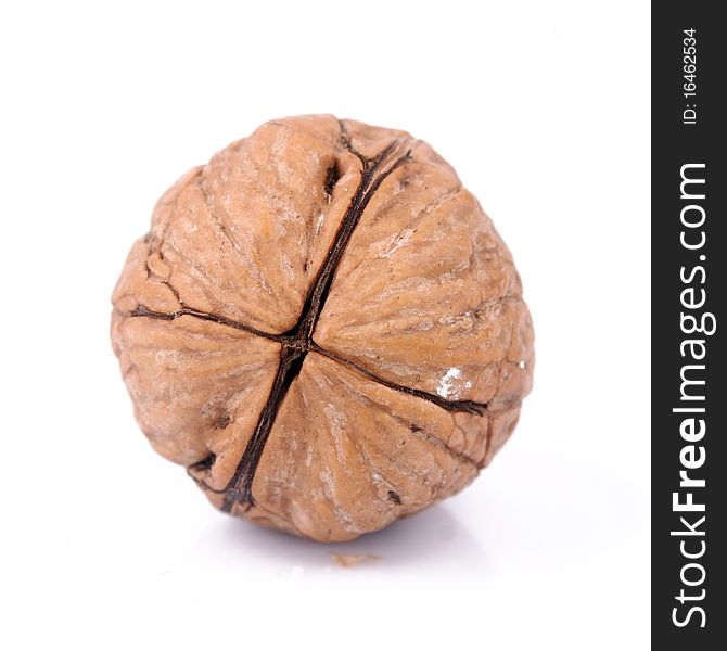 Close-up walnut on a white background