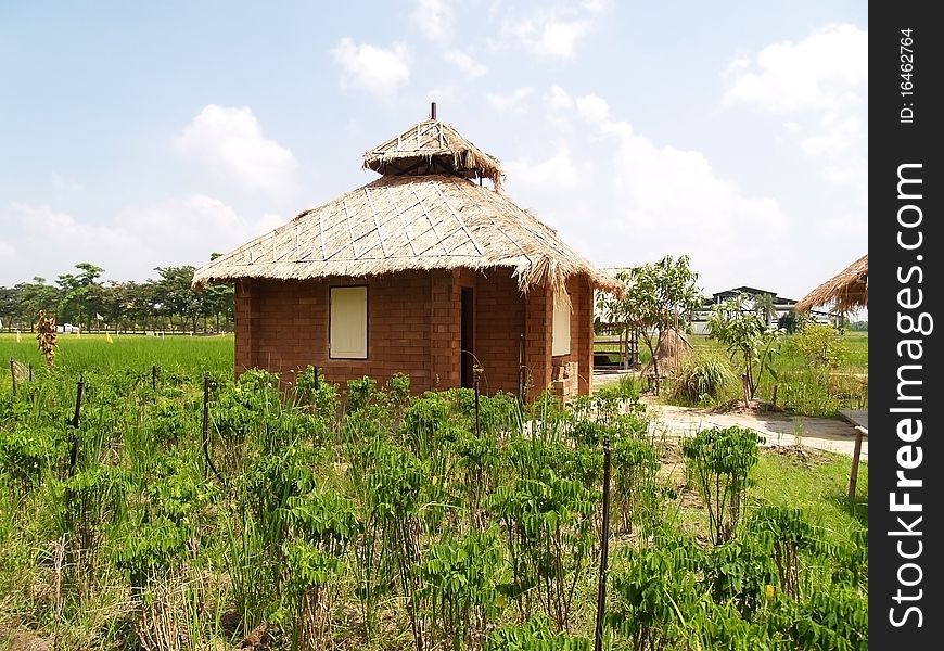 Farmer hut at Thai farm