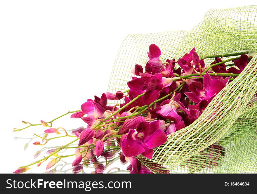 Orchid bouquet on a white background, is isolated. Orchid bouquet on a white background, is isolated.