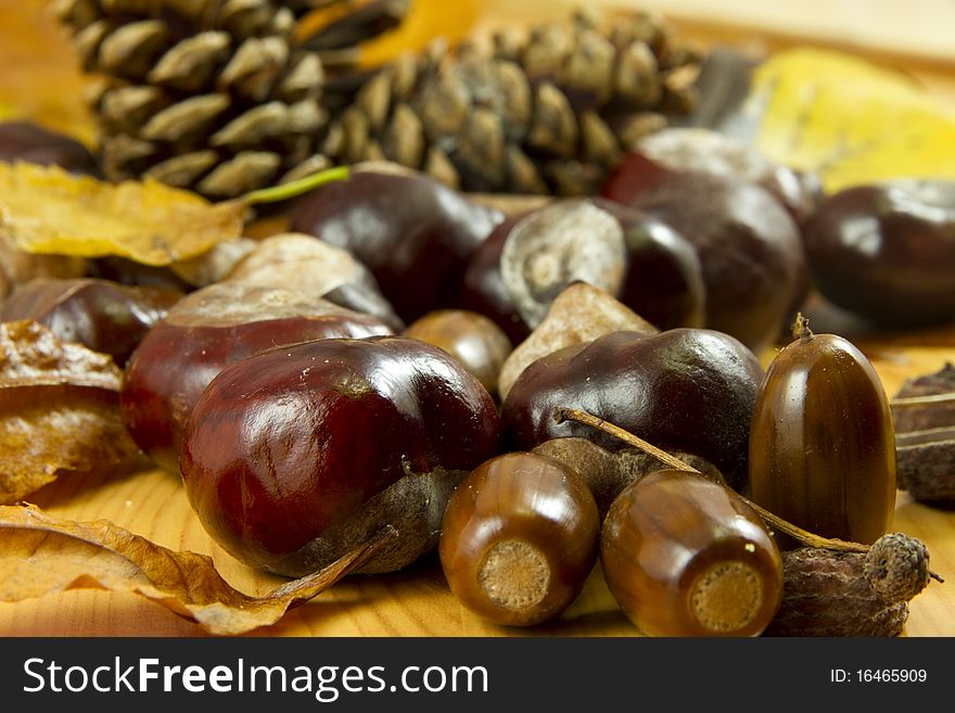 An autumn background created of leaves, cones, chestnuts and acorns. An autumn background created of leaves, cones, chestnuts and acorns