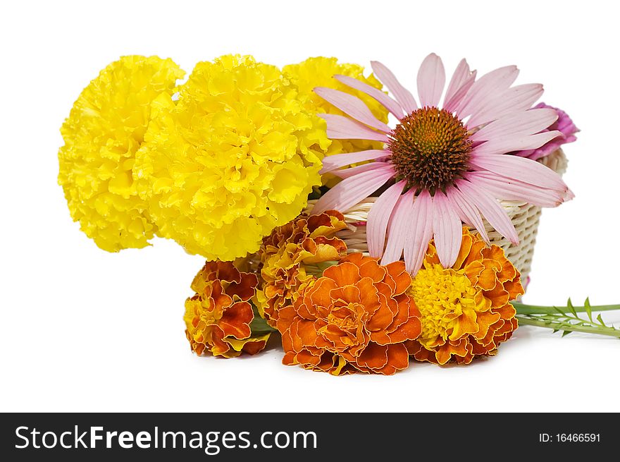 Beautiful flowers in a basket isolated on white