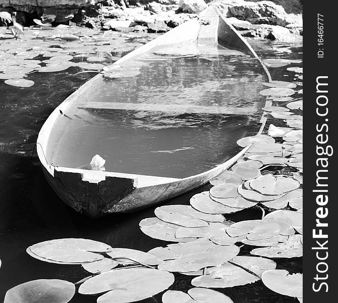 The sunk wooden boat among water leaves