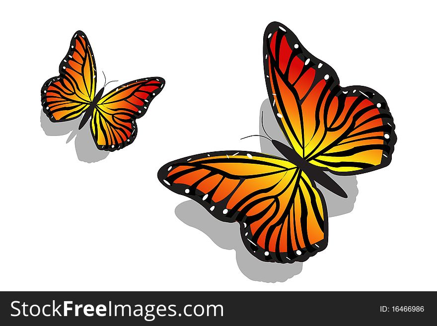 Illustration of pair of butterfly on isolated background