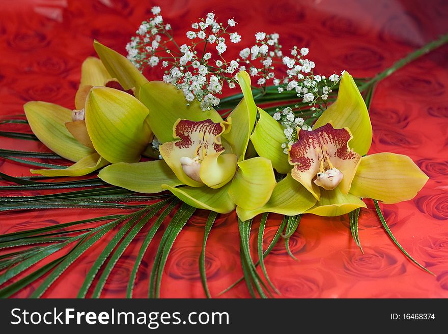 Beautiful bouquet of orchids on a red background