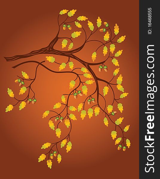 Autumn background with oak branch, leaves and acorns. Autumn background with oak branch, leaves and acorns
