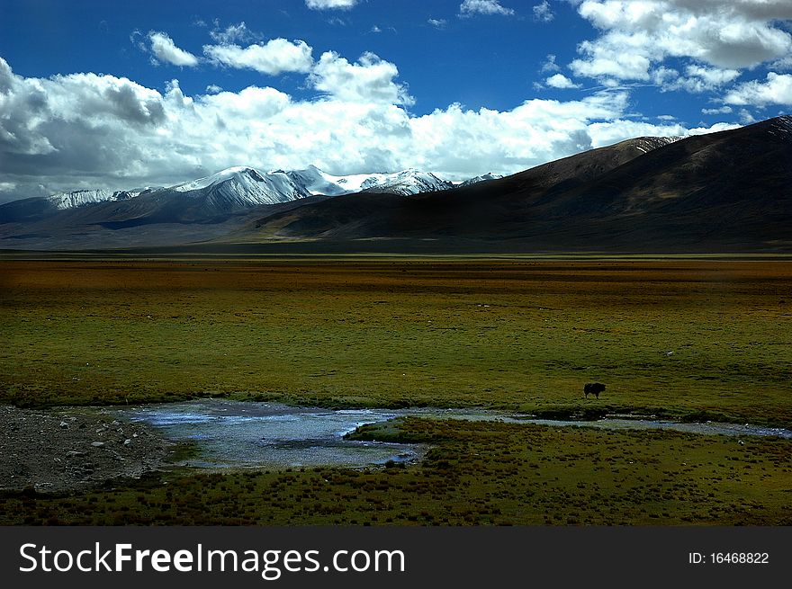 In Tibet, you can see the winding river. In Tibet, you can see the winding river