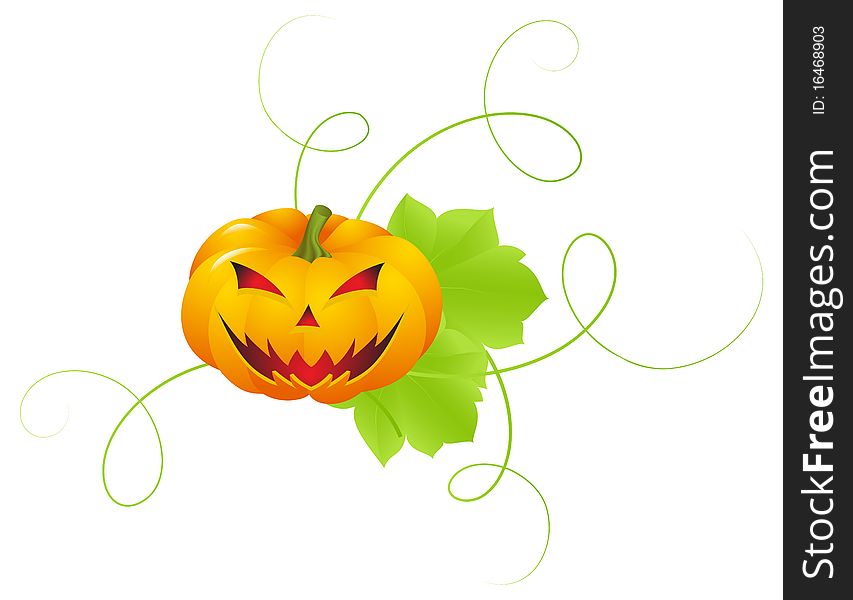 Pumpkins with leaves and a terrible physiognomy. Decoration for halloween. Vector illustration, isolated on a white. Pumpkins with leaves and a terrible physiognomy. Decoration for halloween. Vector illustration, isolated on a white.