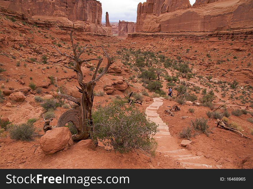 Park Avenue Trail, a 1-mile trail that follows the bottom of a canyon at the feet of the gigantic monoliths of Arches National Park. Park Avenue Trail, a 1-mile trail that follows the bottom of a canyon at the feet of the gigantic monoliths of Arches National Park.