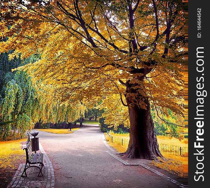 Near Infrared or IR photo panoramic view of outdoor public park. Near Infrared or IR photo panoramic view of outdoor public park