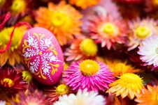 Hand-painted Easter Egg With Straw Flowers Royalty Free Stock Images