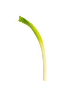 Onion Stock Photos Onion Stock Photos