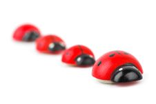 Toy Ladybirds Stock Photo