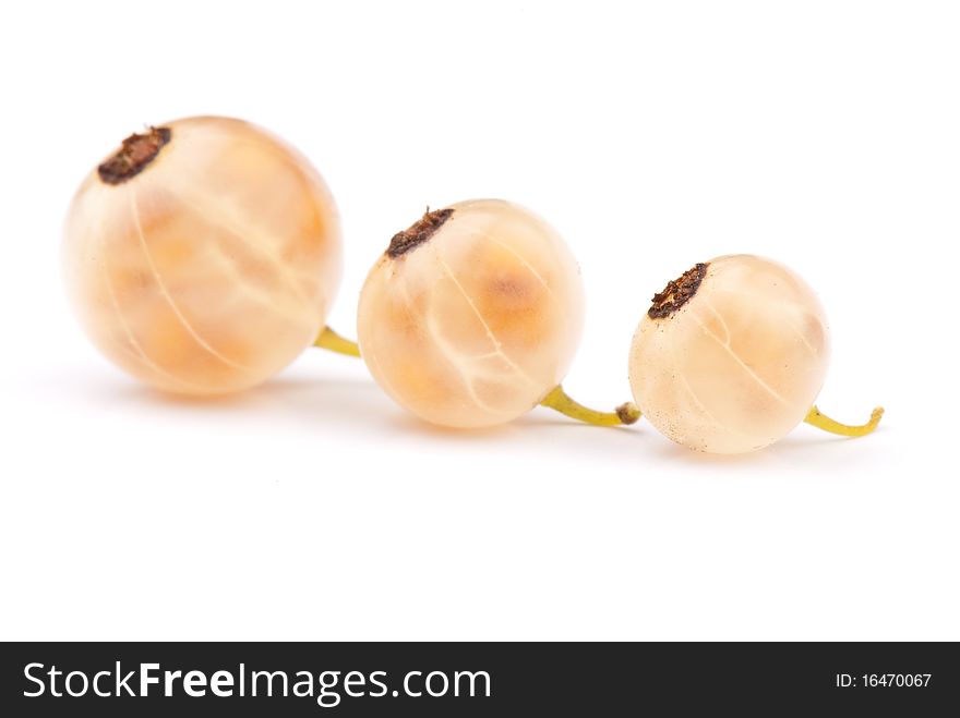 Fresh ripe currant photographed closeup isolated on a white background.