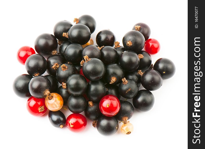 Fresh ripe currant photographed closeup isolated on a white background.