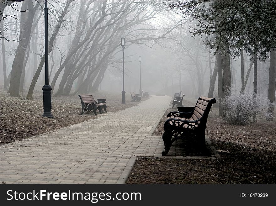 Foggy park early in the winter morning