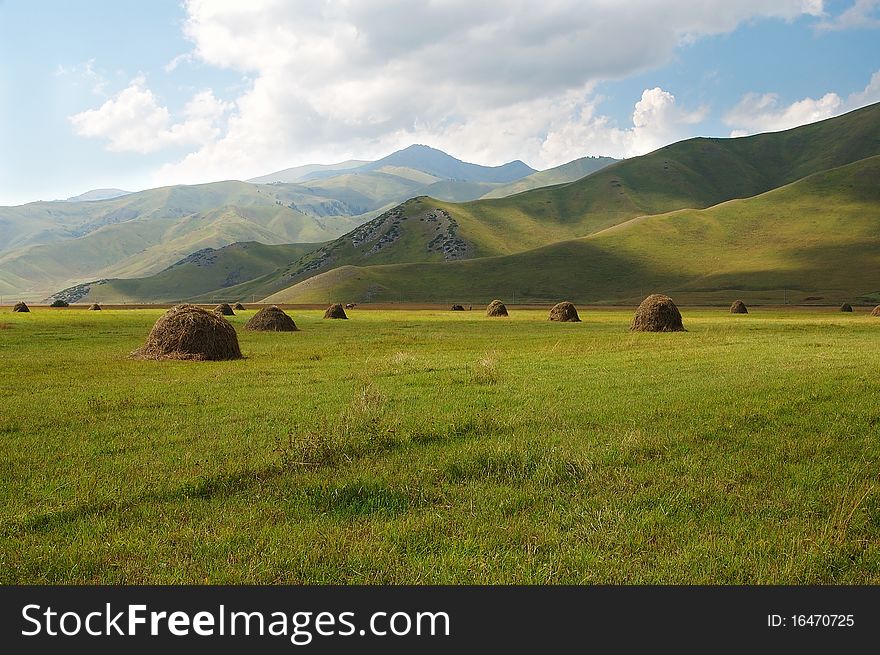 Collected hay on a green field in foothills