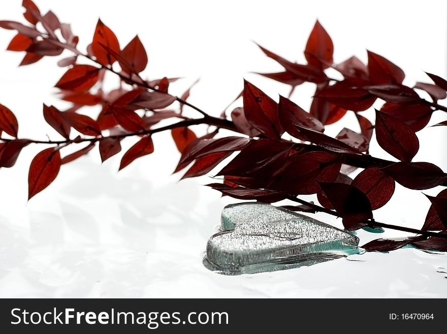 Heart shape ice and red leafs isolated on white