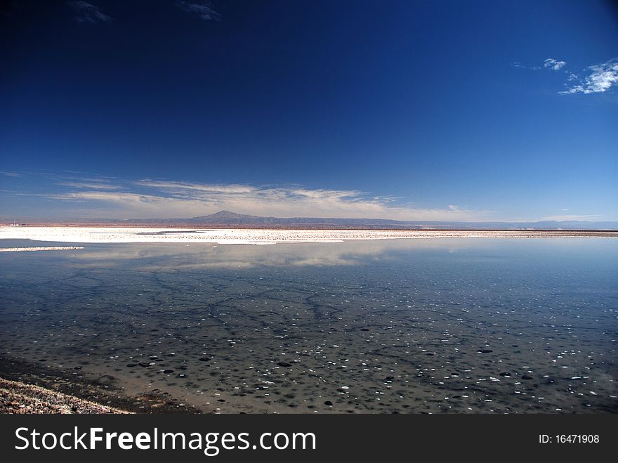 Desert landscape