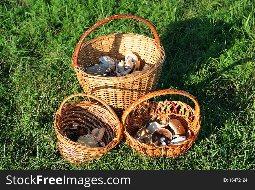 Wicker Baskets With Mushrooms On Green Grass