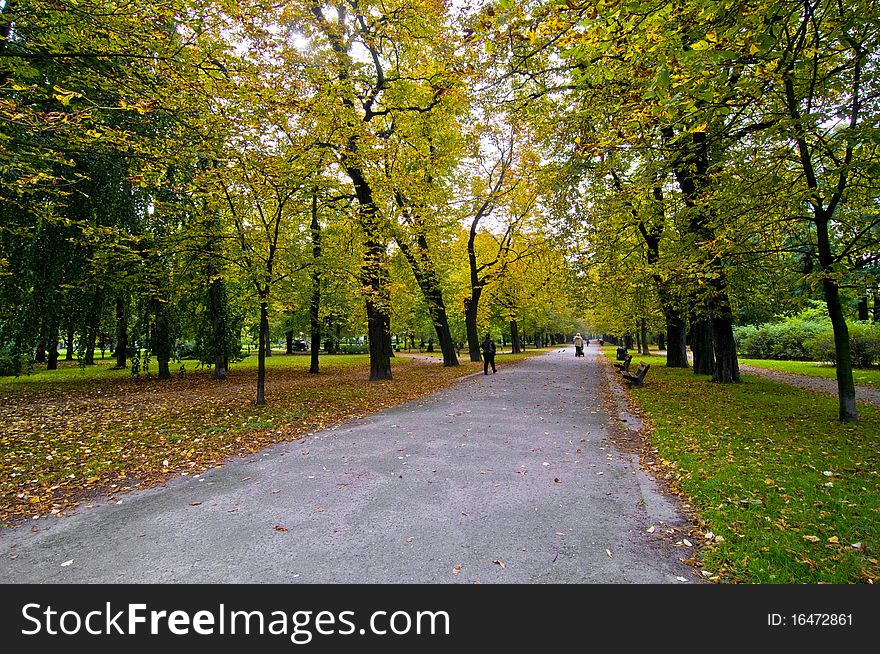 Park in the city during autumn, full of green and orange leaves