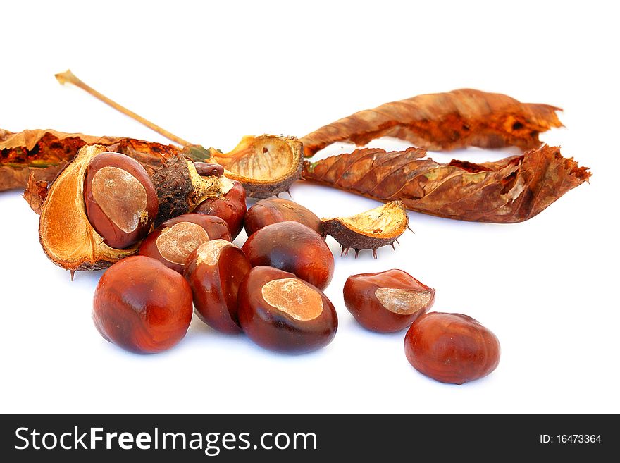 Chestnuts shot on a white background, group shot