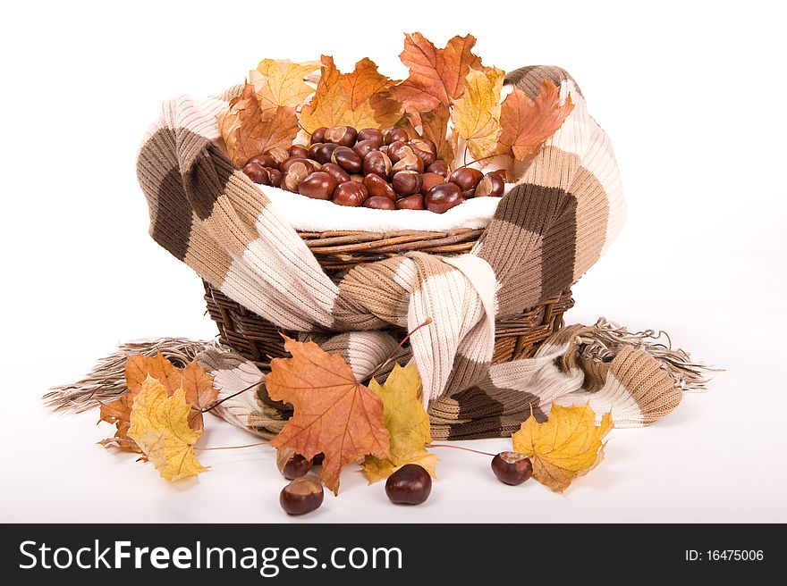 Beautiful autumn in studio with leafs and chestnuts