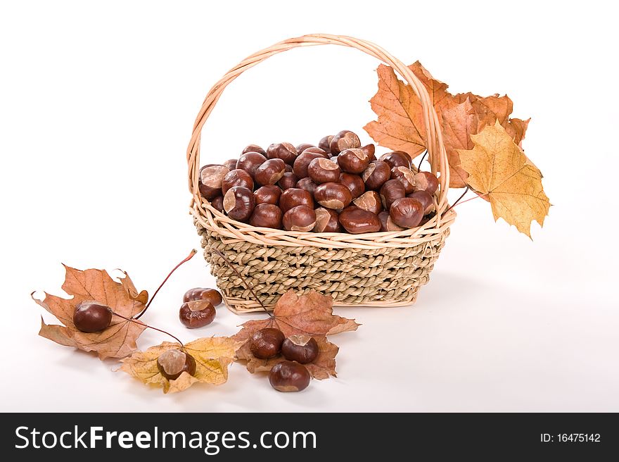 Beautiful autumn in studio with leafs and chestnuts