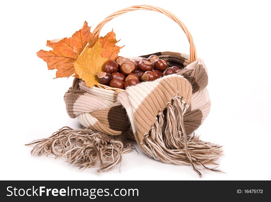 Beautiful autumn in studio with leafs and chestnuts