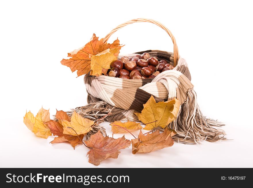 Beautiful autumn in studio with leafs and chestnuts