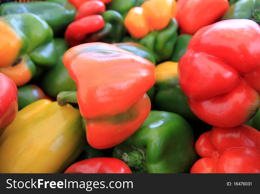 Multi Colored Peppers