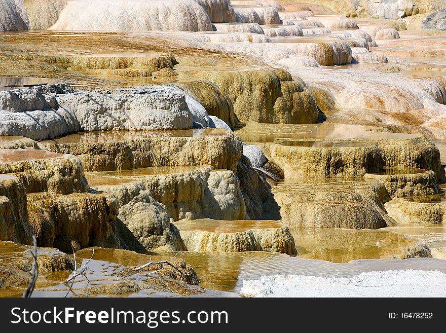 Terraces Mammoth hot spring yellow stone national park. Terraces Mammoth hot spring yellow stone national park