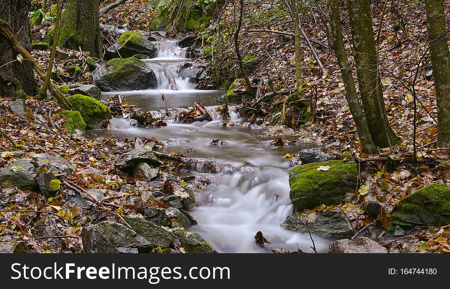 Overview of a stream flowing in the woods in autumn
