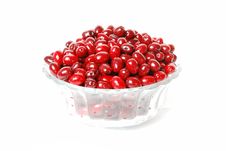 Dogwood Berries On A Plate Royalty Free Stock Photos Dogwood Berries On A Plate Royalty Free Stock Photos