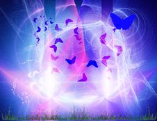 Flying Moth Stock Image