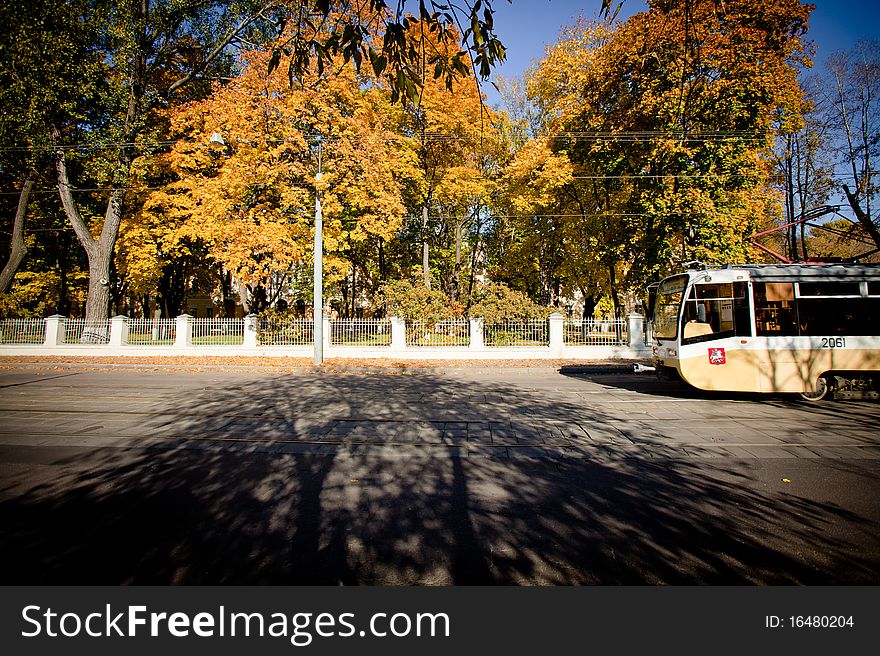 Autumn, yellow leaves on the tree. Tram