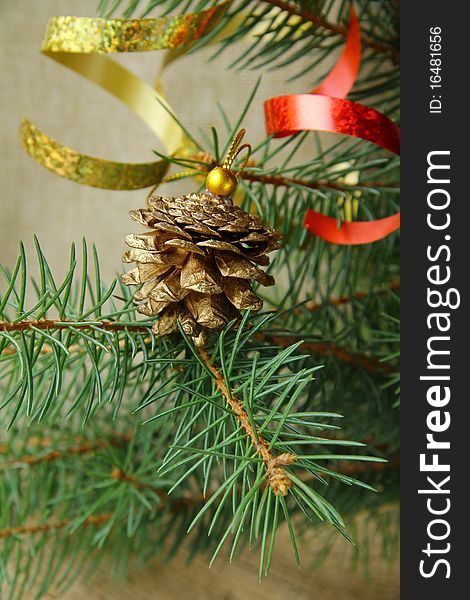 Green branches of trees with Christmas decorations. Green branches of trees with Christmas decorations