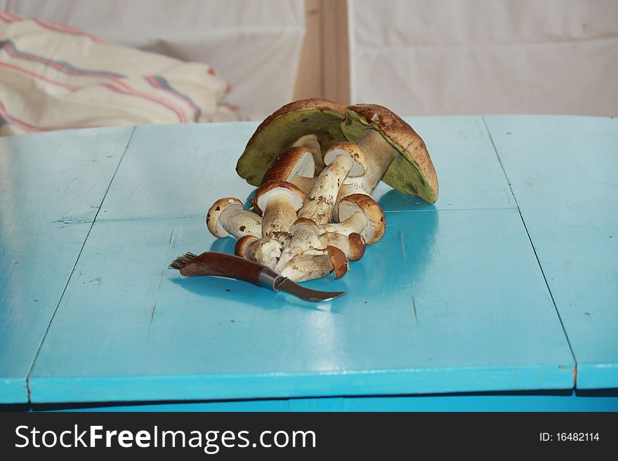 Delicatessen russian white mushrooms on the table