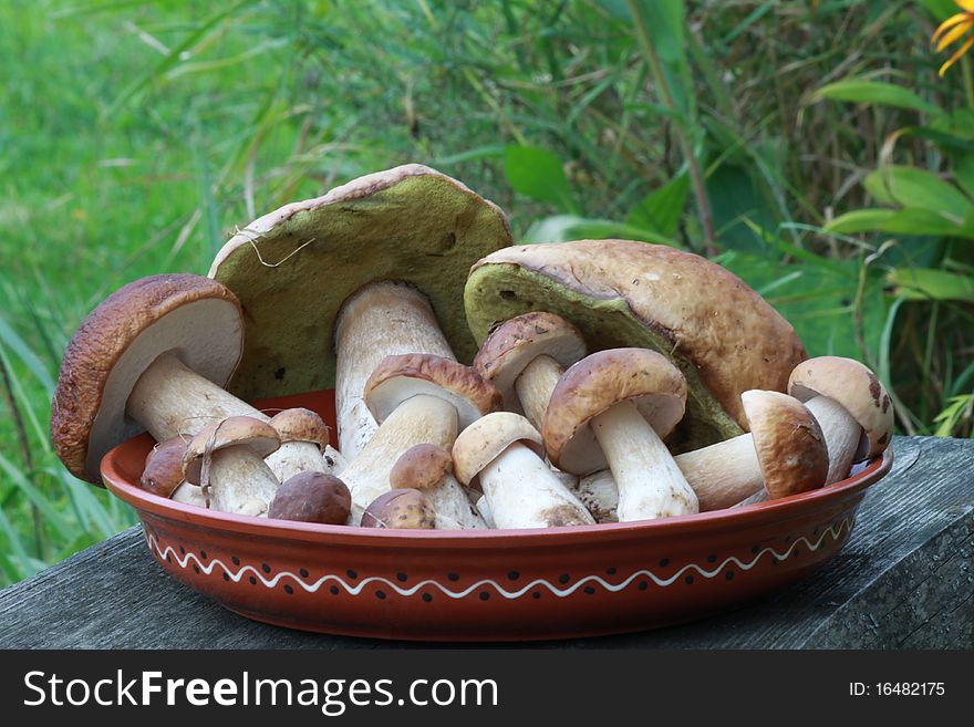 Delicatessen russian white mushrooms on the dish