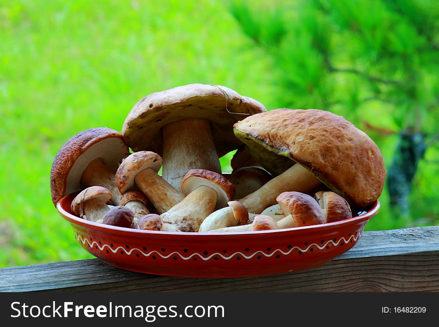 Delicatessen russian white mushrooms on the dish